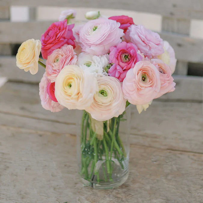 Ranunculus Seeds - Bridal Mix