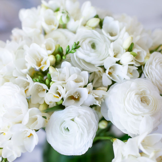 Ranunculus & Freesia Seeds - White Mix