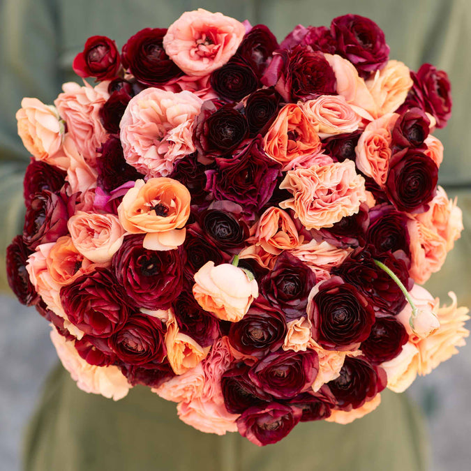 Ranunculus Seeds - Princess Bride Mix