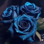 Rare Blue Rose Tree Seeds – Balcony Potted Plant - Dharaseeds