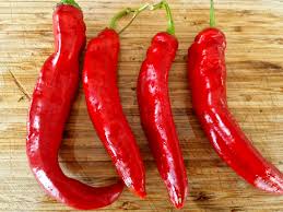 Rare Colossal Chinese HJ1 Chili Pepper Seeds – Mild Crown Variety - Dharaseeds