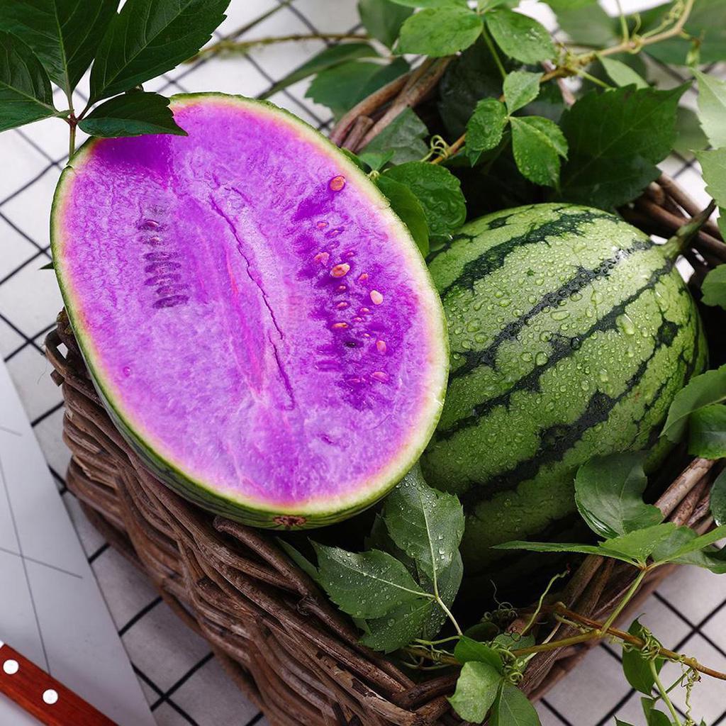 Rare purple flesh watermelon seeds for home garden planting