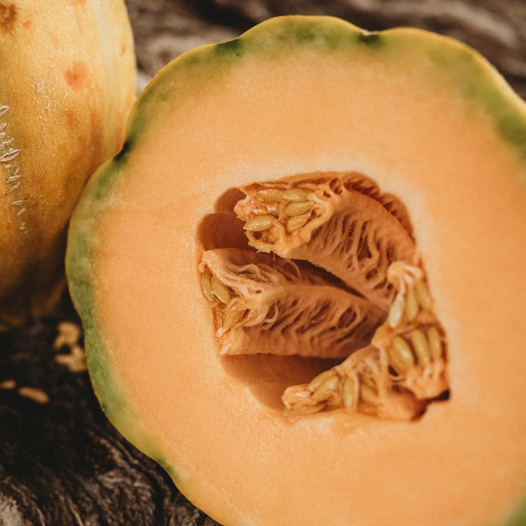 Rare tropical fruit seeds Kiwano variety for gardens