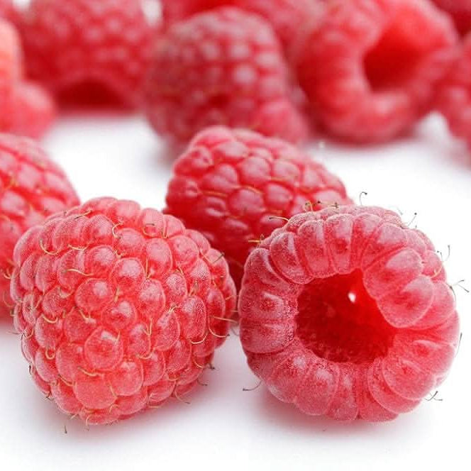 Raspberry seedlings growing from heirloom seeds
