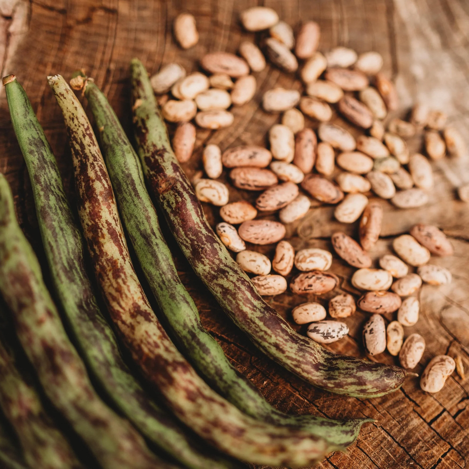 Rattlesnake Beans Vegetable Seeds for Planting heirloom & Non-GMO Seeds