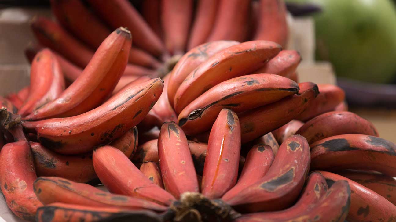 Red Banana – A Sweet and Nutritious Twist on a Classic