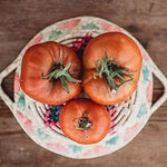 Red Brandywine Tomato Solanum lycopersicum vegetable seeds for vertical garden and backyard use - Dharaseeds