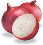 Red Bull Onion Seeds – Large Red Bulb with Conventional & Pelletized Options - Dharaseeds