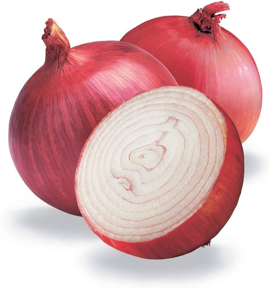 Red Bull Onion Seeds – Large Red Bulb with Conventional & Pelletized Options - Dharaseeds