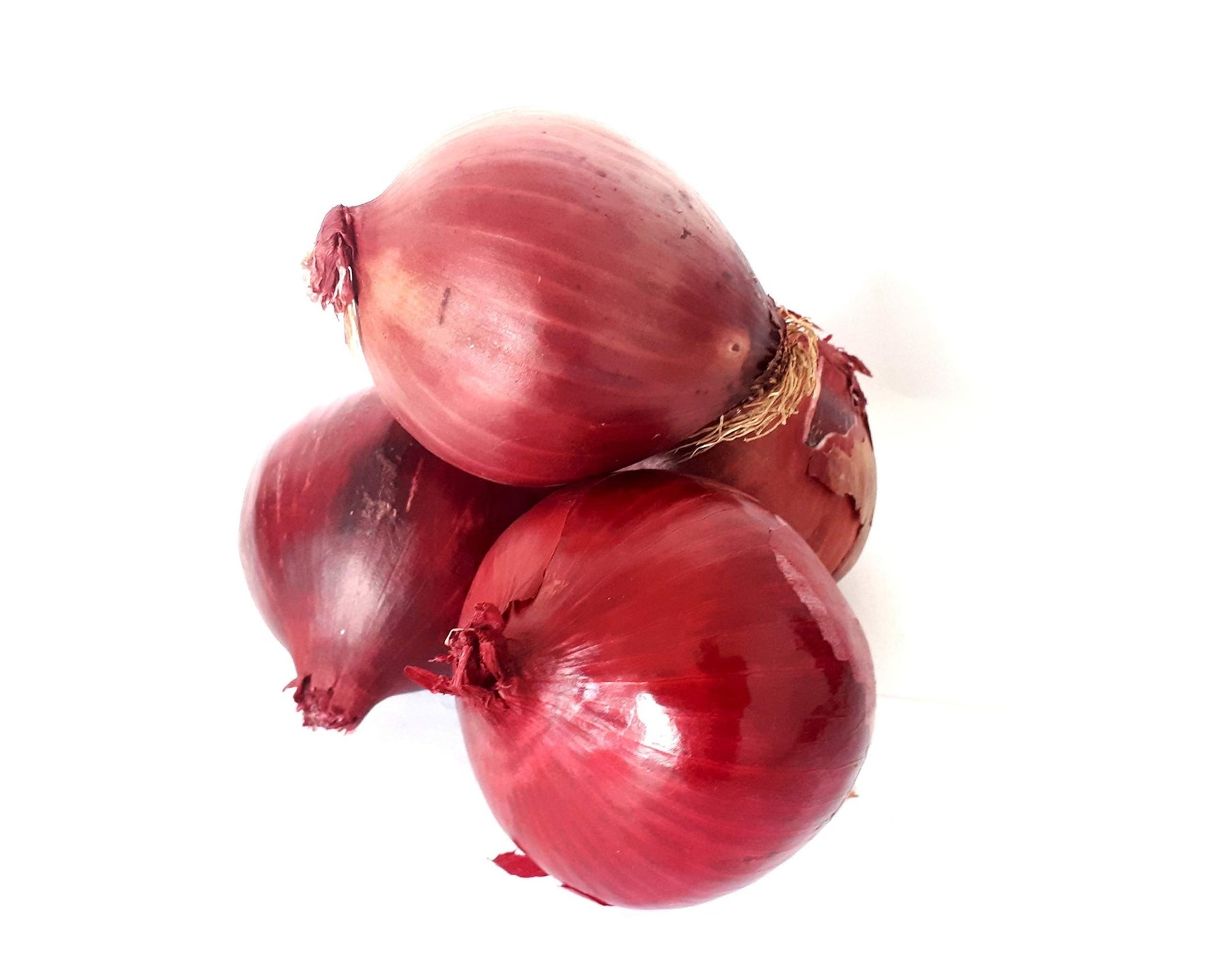 Red Burgundy onion Allium cepa vegetable seeds for planting in home kitchen garden or raised beds - Dharaseeds