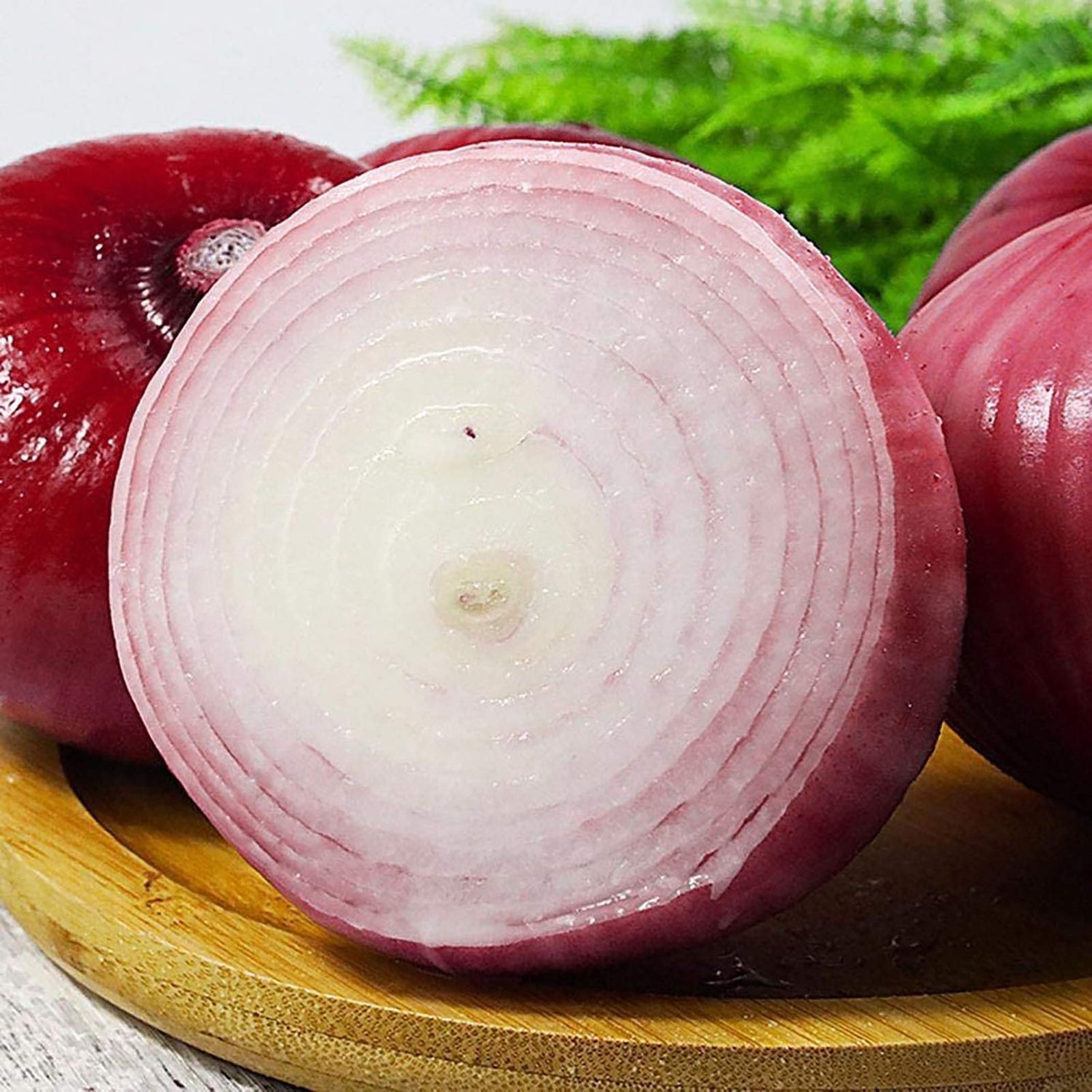 Red Burgundy onion Allium cepa vegetable seeds for planting in home kitchen garden or raised beds - Dharaseeds