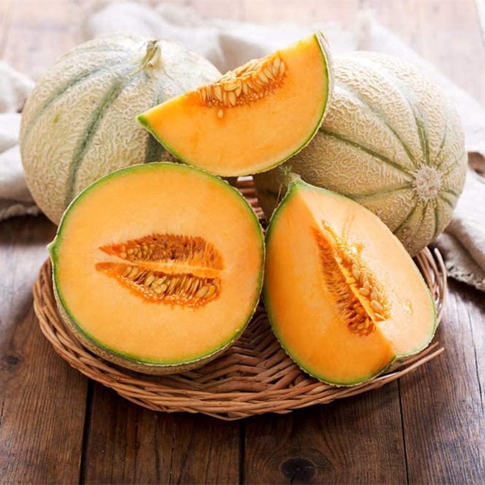 Red cantaloupe seeds growing guide for home garden melons