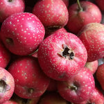 Heirloom non GMO Red Hawthorn seeds for outdoor planting
