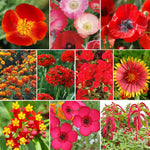 flowers high quality flower seeds for growing vibrant and colorful blooms in home gardens and landscapes organic flowers premium organic flower seeds for sustainable gardening and beautiful blossoms suitable for all climates