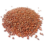 organic-spicy-china-rose-radish-peppery-seeds

