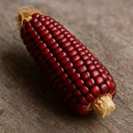 Red Corn heirloom non-GMO organic garden seeds