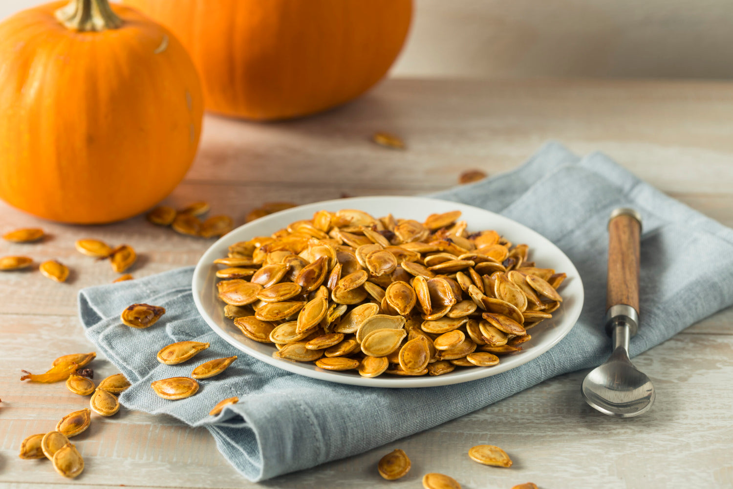 Pumpkin Cucurbita pepo vegetable seeds for planting in backyard gardening or kitchen garden