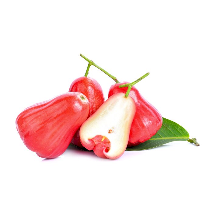 Malay Rose Apple Seeds (Syzygium malaccense)