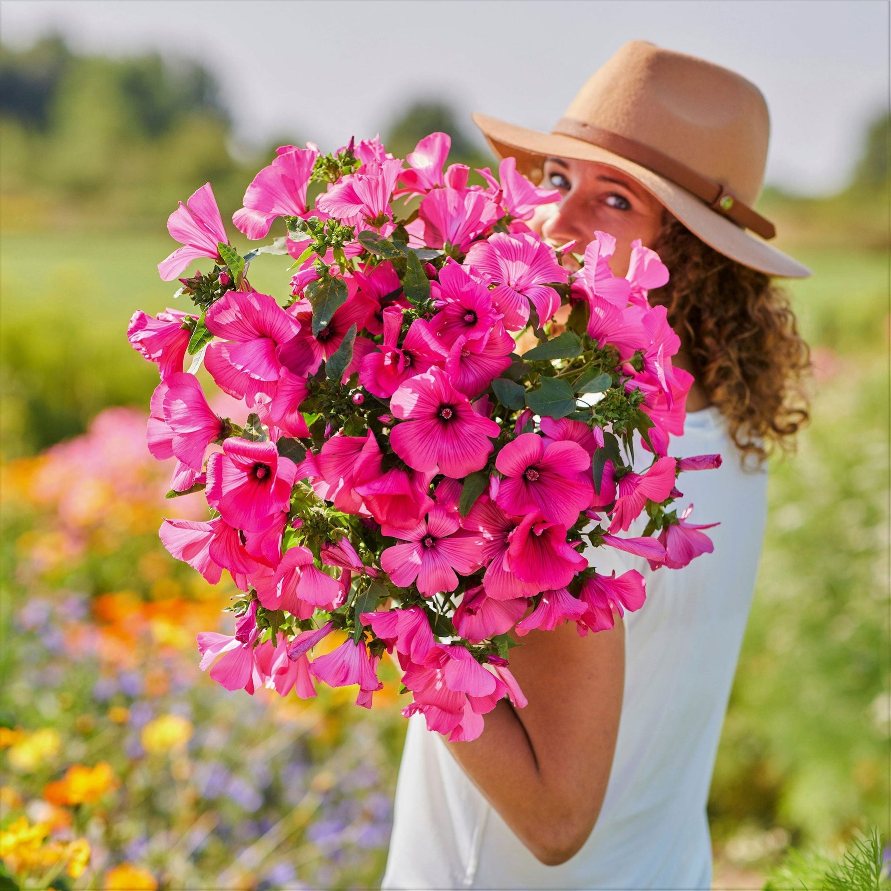 flowers high quality flower seeds for growing vibrant and colorful blooms in home gardens and landscapes organic flowers premium organic flower seeds for sustainable gardening and beautiful blossoms suitable for all climates