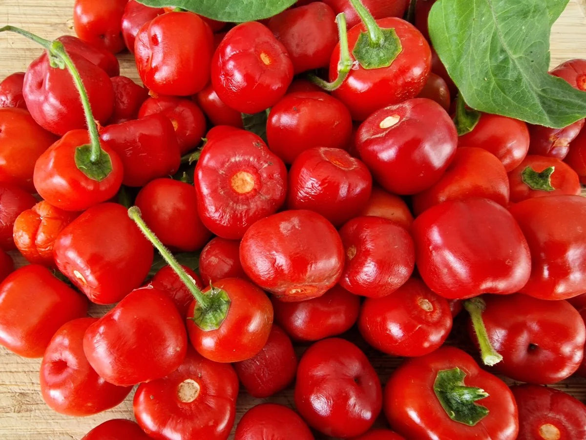 Rocoto Manzano Vegetable Seeds for Planting, heirloom & Non-GMO Seeds