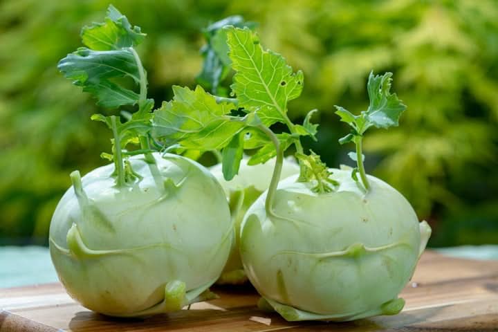 Glass Bowl Superschmelz Organic Vegetable Seeds for Planting