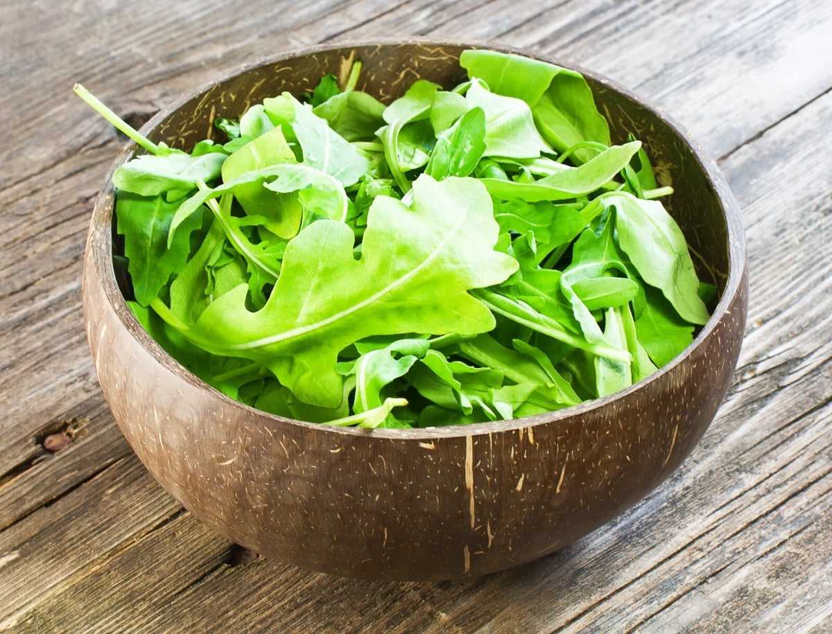 Olivetta Perennial Plant Seeds for Planting, Heirloom, Non-GMO