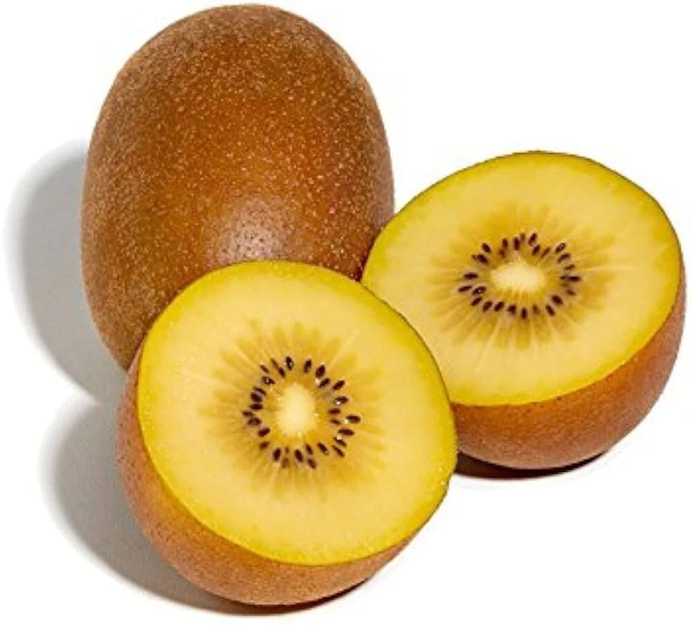 Sungold Golden Kiwi seeds RARE EXOTIC DELICIOUS Florida Grown heirloom non-gmo seeds