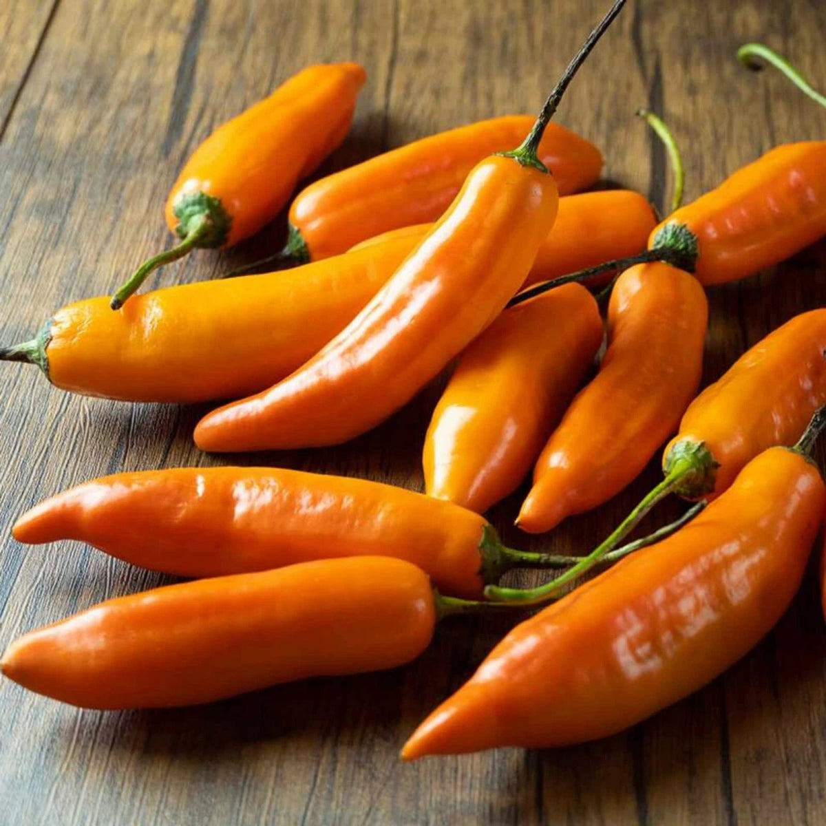 Peruvian Aji Orange Pepper seeds FLORIDA GROWN RARE heirloom non-gmo seeds