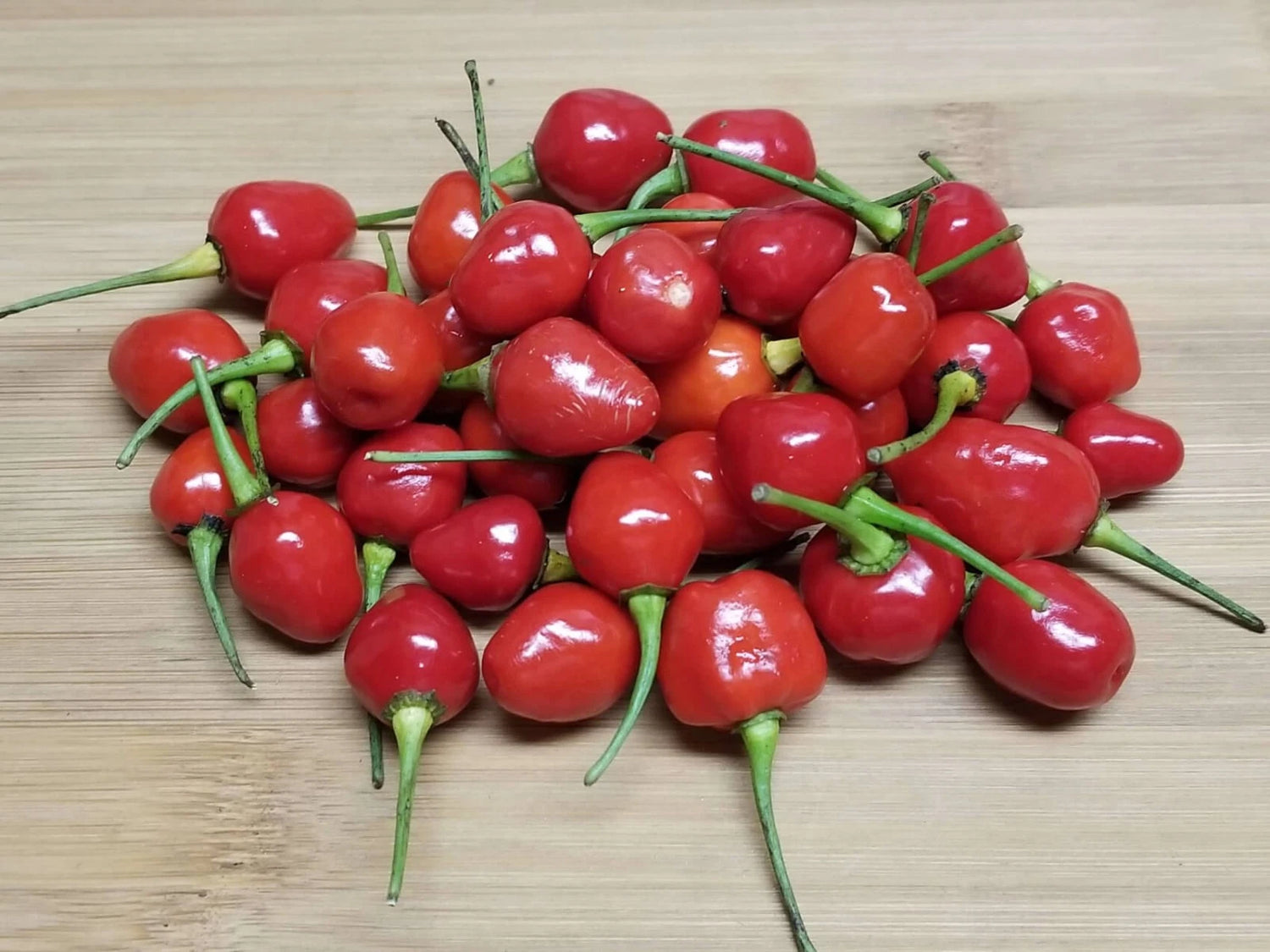 Wiri Wiri Hot Pepper Seeds SPICY RARE EASY heirloom non-gmo seeds