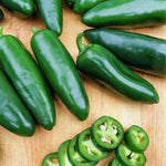 Nadapeno Heatless Jalapeno Pepper Seeds heirloom non-gmo seeds