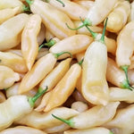 Sugar Rush Peach Hot Pepper Seeds Seeds Shipping heirloom non-gmo seeds