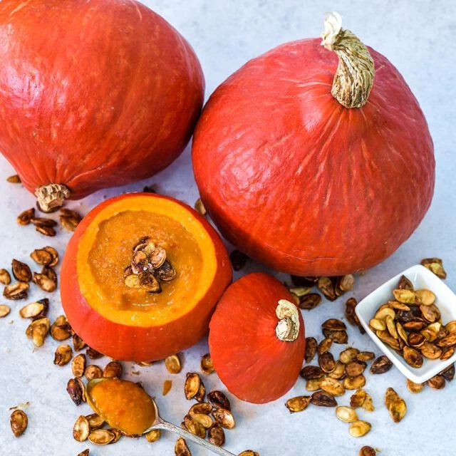 Japanese Red Kuri Kabocha Squash seeds Uchiki Kuri RARE – Heirloom, Non-GMO