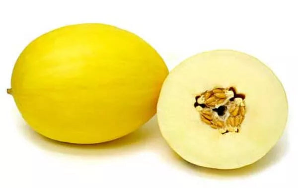 Canary Melon Seeds - Devine Creamy Sweet White Flesh – Heirloom, Non-GMO, High Germination Organic Garden Seeds