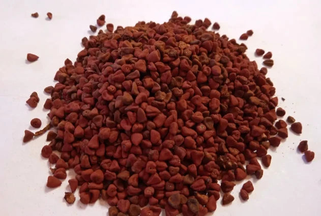 Semillas Achiote Puerto Rico Annatto Seeds Bixa Orellana Lipstick tree – Heirloom, Non-GMO, High Germination Organic Garden Seeds