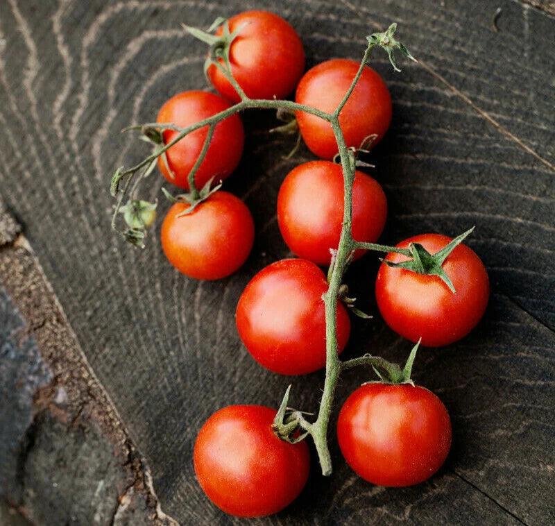 Large Red Cherry Tomato Seeds Ground Plum Grape Tomatoes Seed – Heirloom, Non-GMO, High Germination Organic Garden Seeds