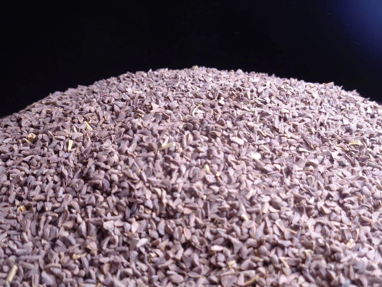 Harmal Harmala Natural Seeds Wild Rue Syrian Herb Pure seeds Gm Seeds – Heirloom, Non-GMO, High Germination Organic Garden Seeds