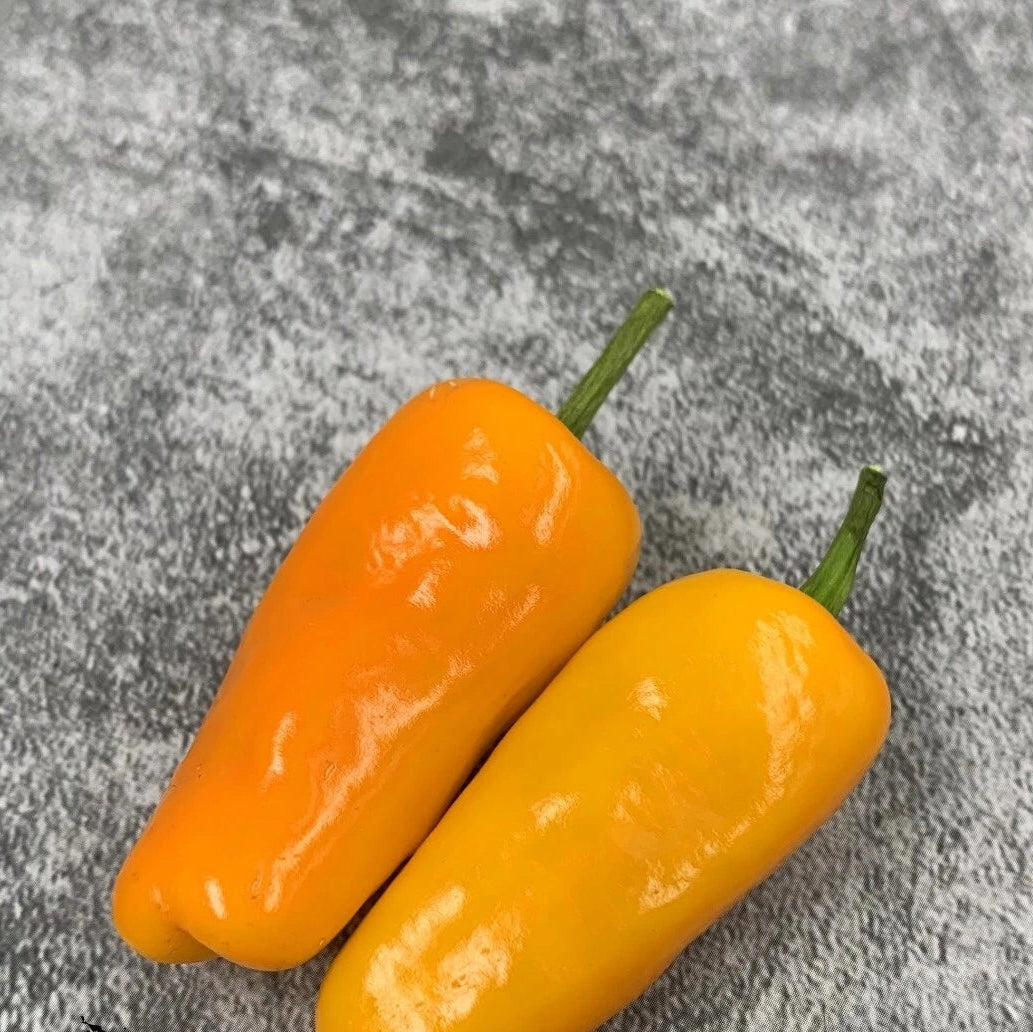 Datil Pepper Seeds – Heirloom, Non-GMO, High Germination Organic Garden Seeds