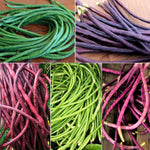 Colors Mix Yard Long Bean Seeds Multi Variety Pole Asian Vegetable Seed heirloom non-gmo seeds