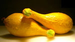 Crookneck Squash Seeds - VERY Growing - Day Harvest heirloom non-gmo seeds