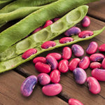 Scarlet Runner Bean Seeds Pole Magic Beans Red Flower Vining Plant Seed heirloom non-gmo seeds
