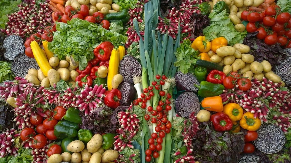 Emergency Survival Bank variety Medicinal-Edible-Herbal heirloom non-gmo seeds