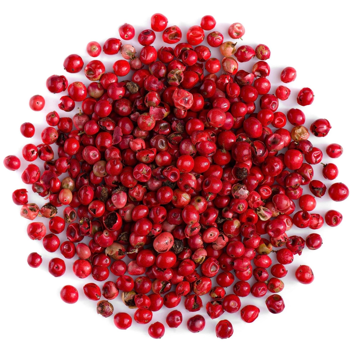 South American Pink Peppercorn Tree Seeds Rare Easy heirloom non-GMO seeds