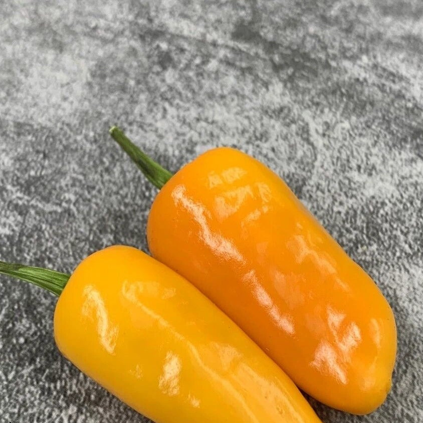 Datil Pepper Seeds heirloom non-gmo seeds