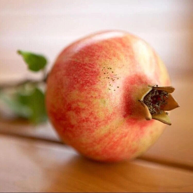 Seller bonsai pomegranate seeds very sweet fruit – Heirloom, Non-GMO, High Germination Organic Garden Seeds
