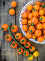 Honeycomb Tomato Seeds heirloom non-gmo seeds