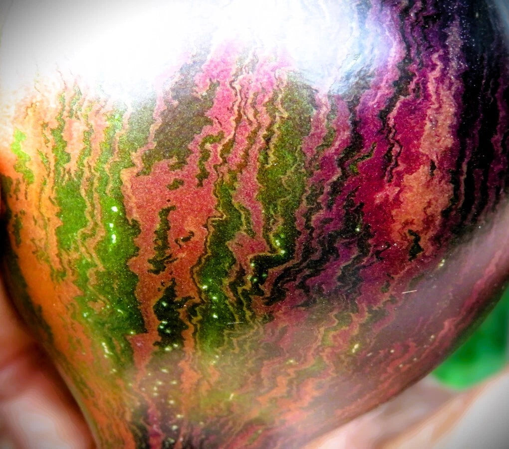 Brads Atomic Grape Tomato Seeds heirloom non-gmo seeds