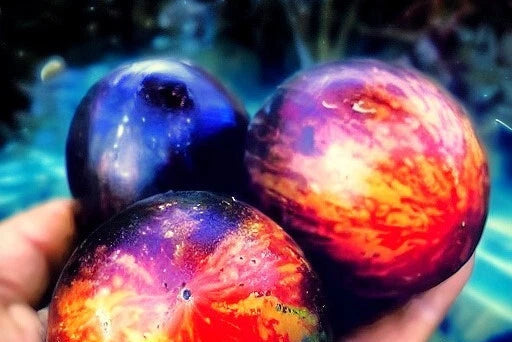 Queen of the Night Black Tomato Seeds heirloom non-GMO seeds