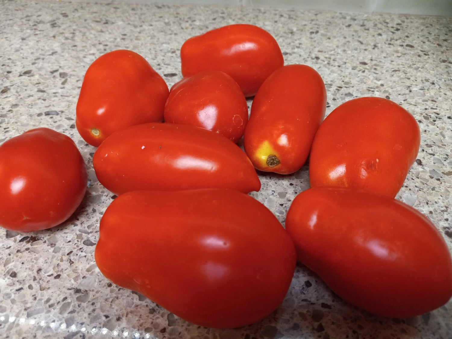 Roma Tomato Seeds Vegetable Plum Tomato Shipping – Heirloom, Non-GMO, High Germination Organic Garden Seeds