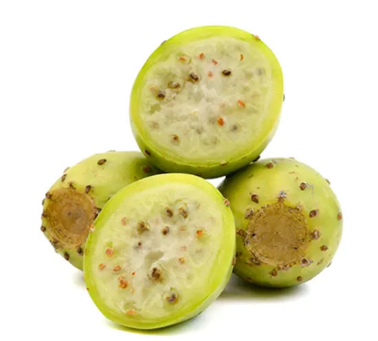 Cactus Pear Seeds (Opuntia ficus-indica)