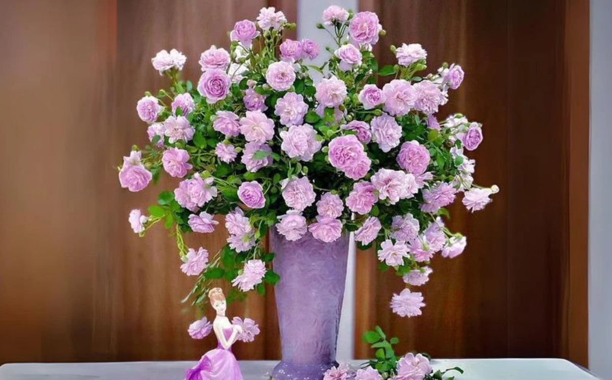 Rainy Blue Perennial Rose Seeds heirloom non-gmo seeds